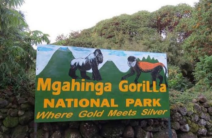 Mgahinga National Park